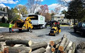 Best Tree Mulching  in West Modesto, CA